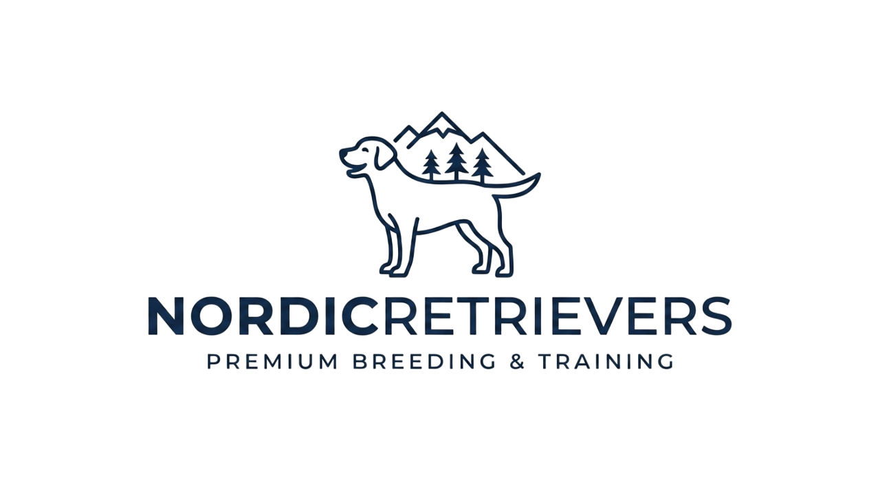 gemini generated image 1br2yt1br2yt1br2 photoroom