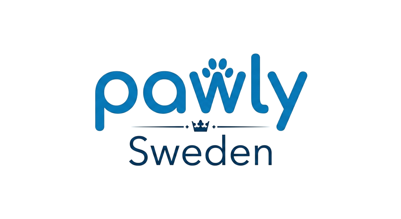 gemini generated image hbml6ohbml6ohbml photoroom